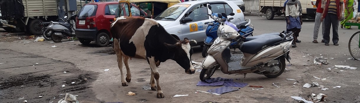 Unser Indien abenteuer